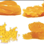 BOLD Full Plant Extract