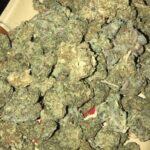 Master Kush