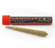Red Tarantula Hybrid 1 gram Infused preroll