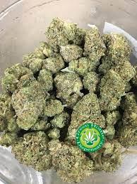 Gelato Kush