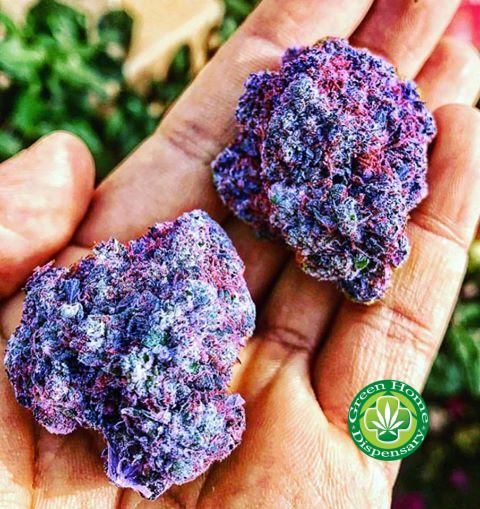 Buy Purple Kush