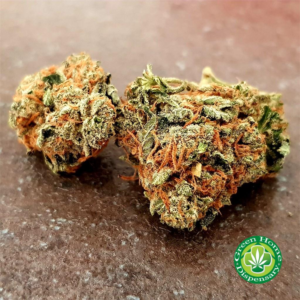 stardawg__primary_119f