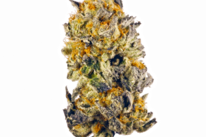 Giesel Strain