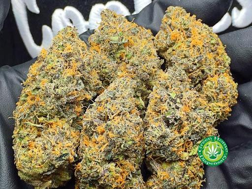 Gelato 33 Strain
