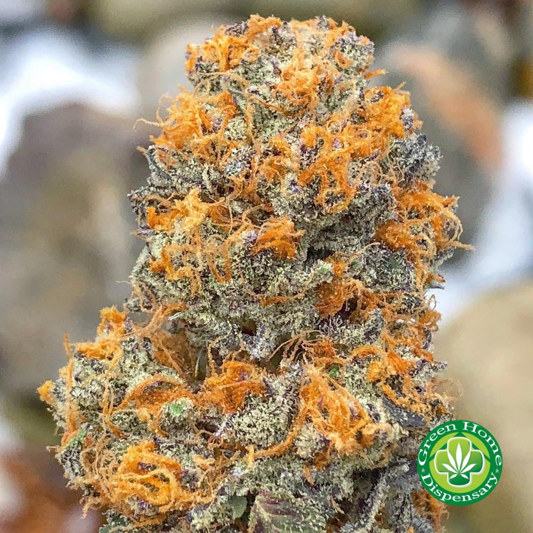 Buy Mango Kush