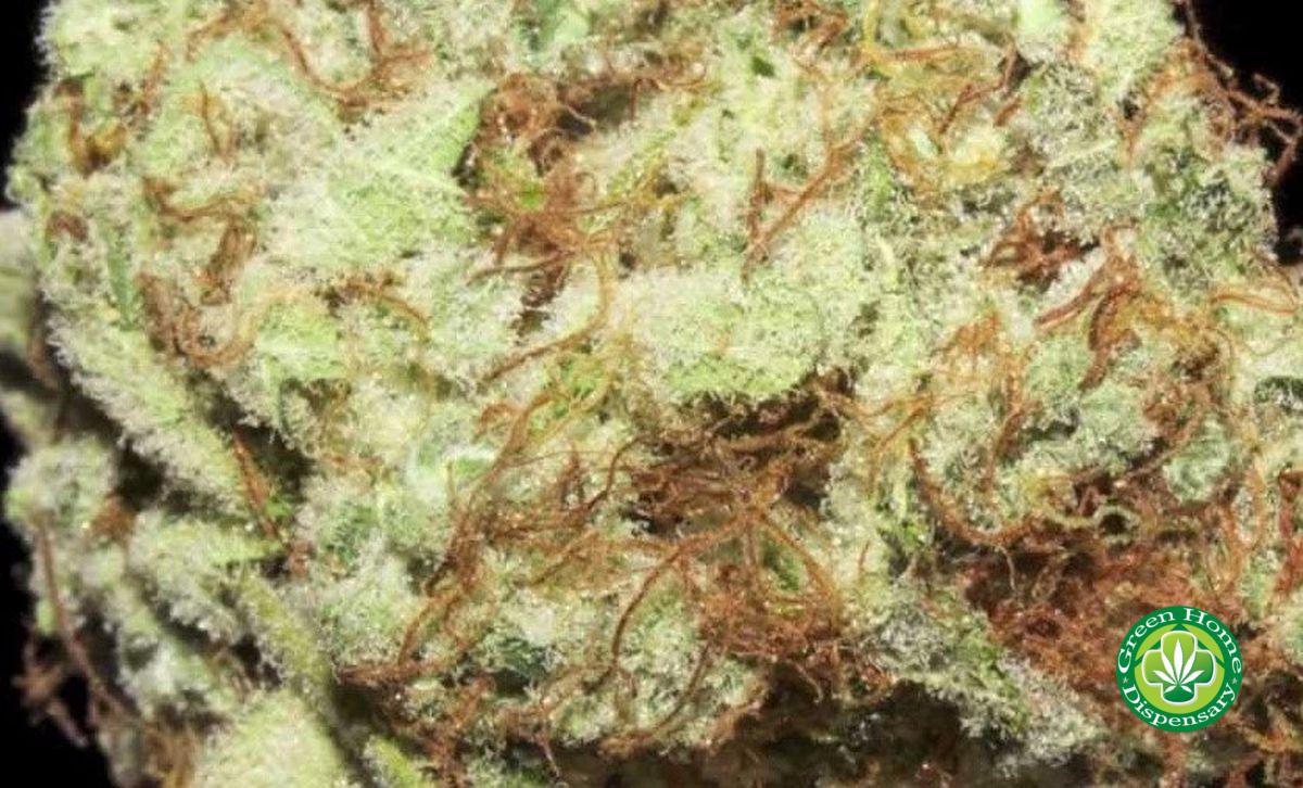 Sour Diesel OG
