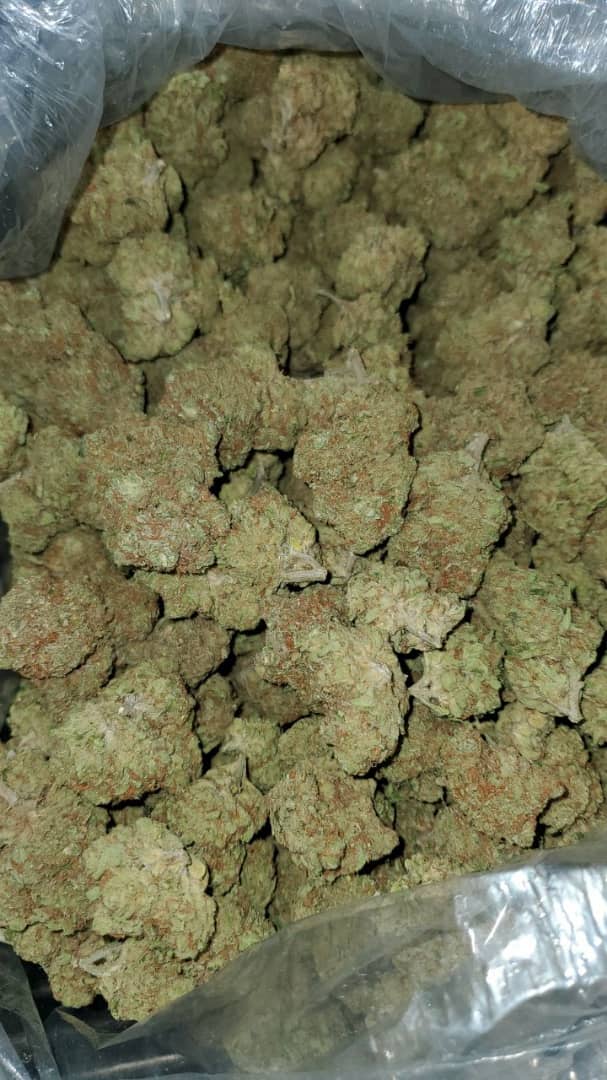 Lemon Kush (Hybrid)