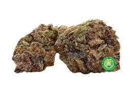 Buy Bubble Gum Cookies