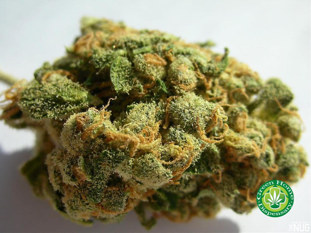 Buy Jack Herer