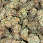 Buy Bubble Gum Cookies