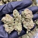 MAC1 (Hybrid)