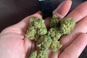 Chocolope